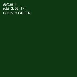 #0D3811 - County Green Color Image